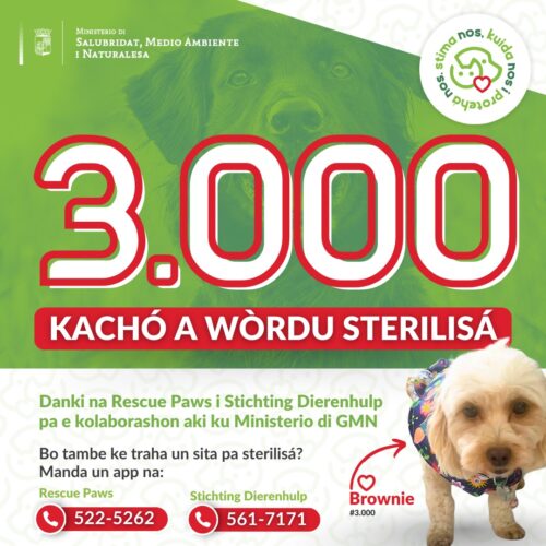Bienestar di Animal GMN
