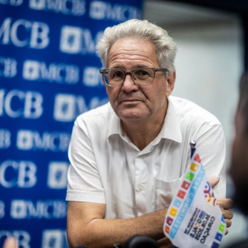 Manfred van Veghel